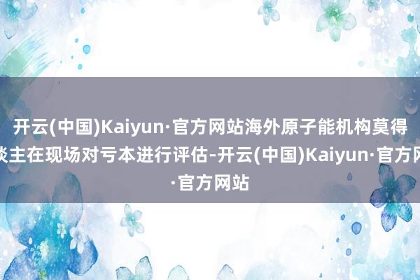开云(中国)Kaiyun·官方网站海外原子能机构莫得东谈主在现场对亏本进行评估-开云(中国)Kaiyun·官方网站