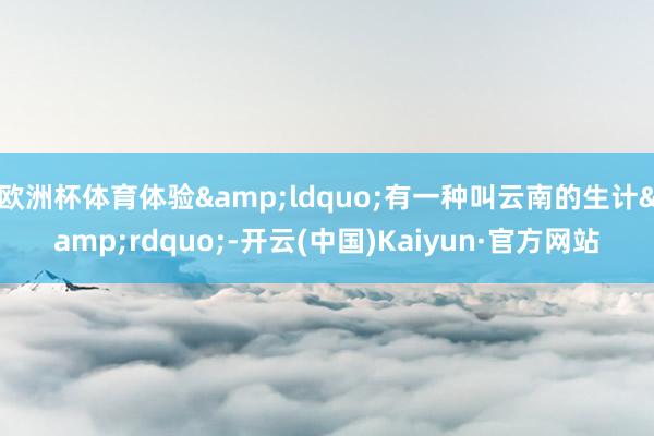 欧洲杯体育体验&ldquo;有一种叫云南的生计&rdquo;-开云(中国)Kaiyun·官方网站