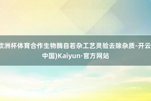 欧洲杯体育合作生物酶自若杂工艺灵验去除杂质-开云(中国)Kaiyun·官方网站
