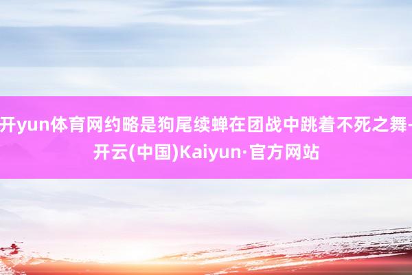开yun体育网约略是狗尾续蝉在团战中跳着不死之舞-开云(中国)Kaiyun·官方网站