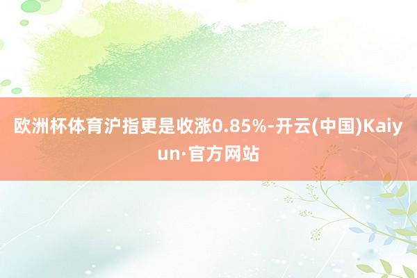 欧洲杯体育沪指更是收涨0.85%-开云(中国)Kaiyun·官方网站