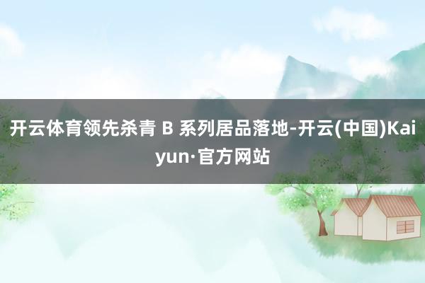 开云体育领先杀青 B 系列居品落地-开云(中国)Kaiyun·官方网站