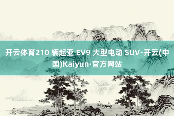 开云体育210 辆起亚 EV9 大型电动 SUV-开云(中国)Kaiyun·官方网站