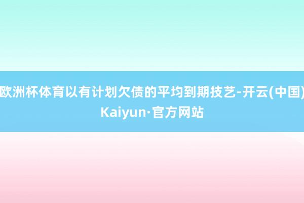 欧洲杯体育以有计划欠债的平均到期技艺-开云(中国)Kaiyun·官方网站