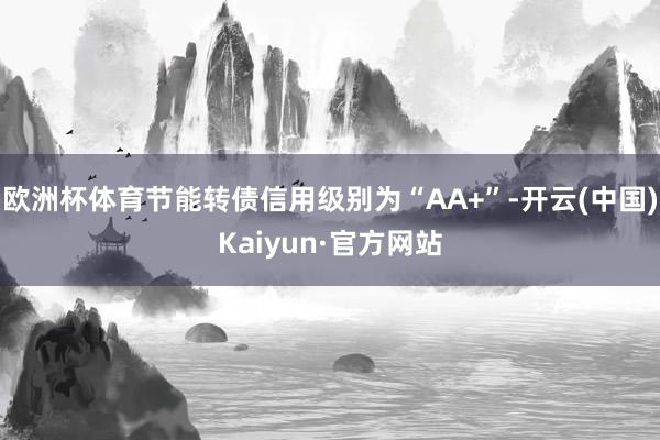 欧洲杯体育节能转债信用级别为“AA+”-开云(中国)Kaiyun·官方网站