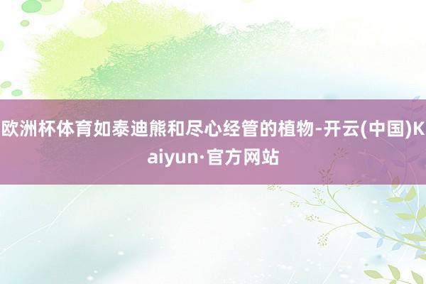 欧洲杯体育如泰迪熊和尽心经管的植物-开云(中国)Kaiyun·官方网站