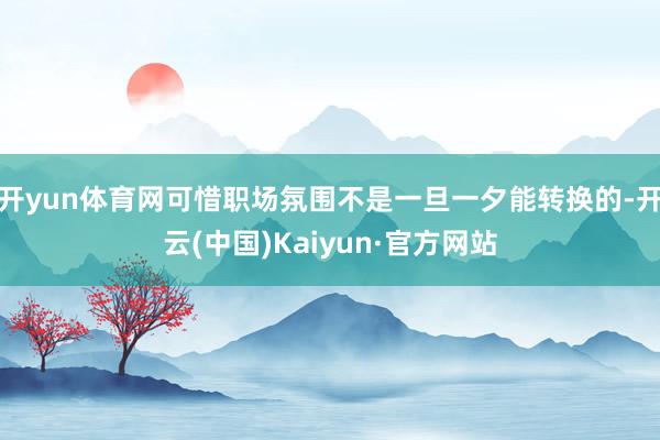 开yun体育网可惜职场氛围不是一旦一夕能转换的-开云(中国)Kaiyun·官方网站