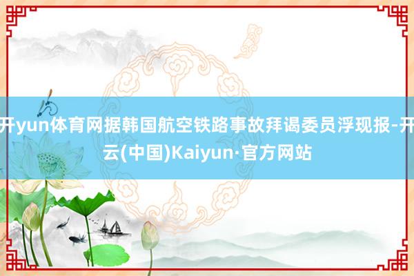 开yun体育网据韩国航空铁路事故拜谒委员浮现报-开云(中国)Kaiyun·官方网站