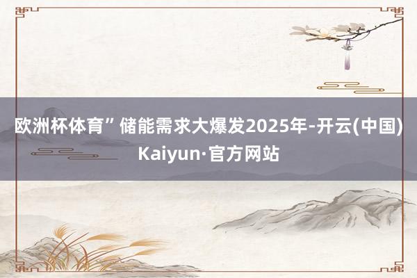 欧洲杯体育” 储能需求大爆发 2025年-开云(中国)Kaiyun·官方网站