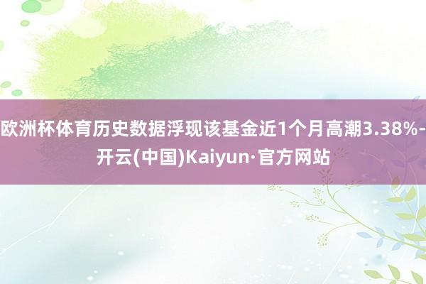 欧洲杯体育历史数据浮现该基金近1个月高潮3.38%-开云(中国)Kaiyun·官方网站