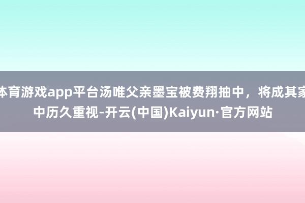 体育游戏app平台汤唯父亲墨宝被费翔抽中，将成其家中历久重视-开云(中国)Kaiyun·官方网站
