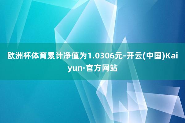 欧洲杯体育累计净值为1.0306元-开云(中国)Kaiyun·官方网站