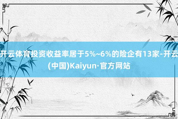 开云体育投资收益率居于5%~6%的险企有13家-开云(中国)Kaiyun·官方网站