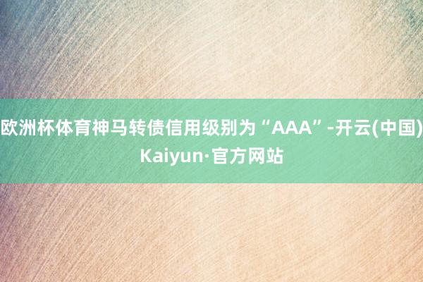 欧洲杯体育神马转债信用级别为“AAA”-开云(中国)Kaiyun·官方网站