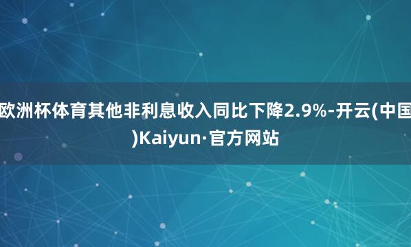 欧洲杯体育其他非利息收入同比下降2.9%-开云(中国)Kaiyun·官方网站