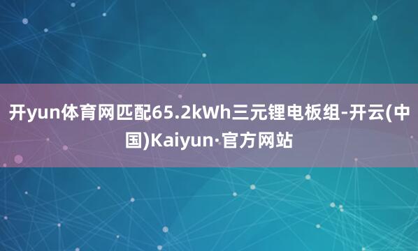 开yun体育网匹配65.2kWh三元锂电板组-开云(中国)Kaiyun·官方网站