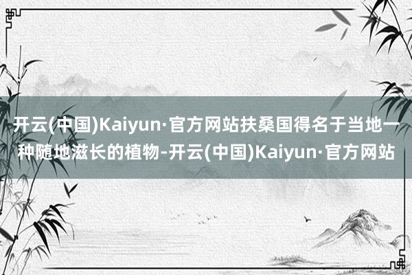 开云(中国)Kaiyun·官方网站扶桑国得名于当地一种随地滋长的植物-开云(中国)Kaiyun·官方网站