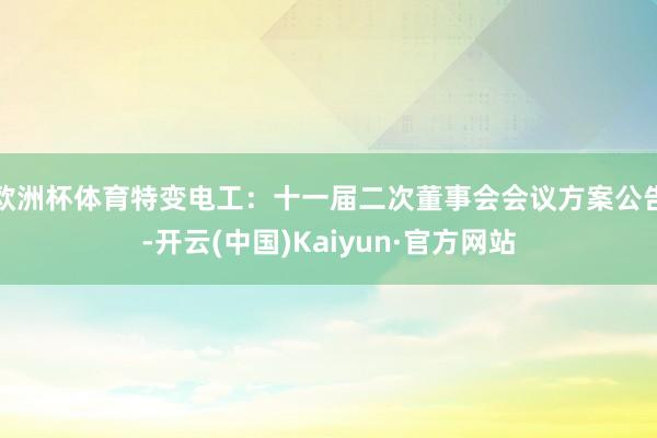 欧洲杯体育特变电工：十一届二次董事会会议方案公告-开云(中国)Kaiyun·官方网站