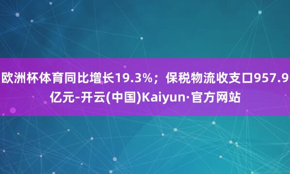 欧洲杯体育同比增长19.3%；保税物流收支口957.9亿元-开云(中国)Kaiyun·官方网站