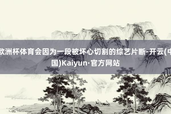 欧洲杯体育会因为一段被坏心切割的综艺片断-开云(中国)Kaiyun·官方网站