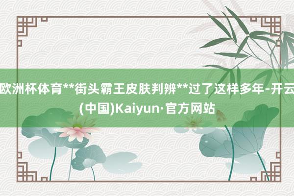 欧洲杯体育**街头霸王皮肤判辨**过了这样多年-开云(中国)Kaiyun·官方网站