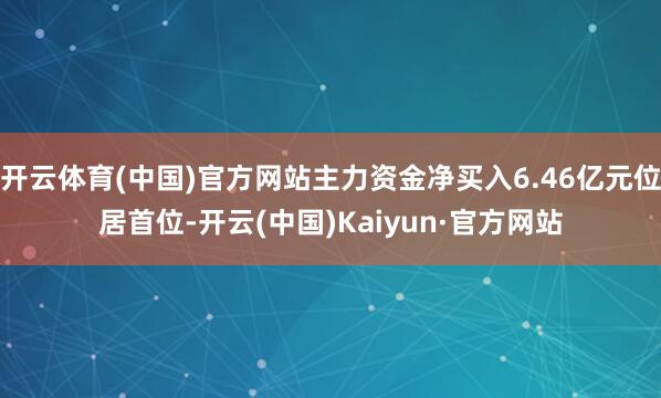 开云体育(中国)官方网站主力资金净买入6.46亿元位居首位-开云(中国)Kaiyun·官方网站