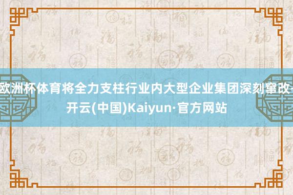 欧洲杯体育将全力支柱行业内大型企业集团深刻窜改-开云(中国)Kaiyun·官方网站