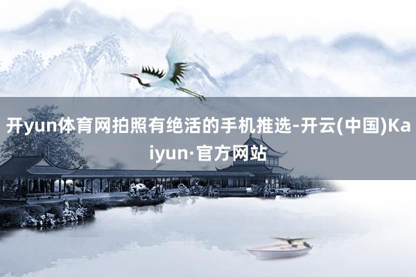 开yun体育网拍照有绝活的手机推选-开云(中国)Kaiyun·官方网站