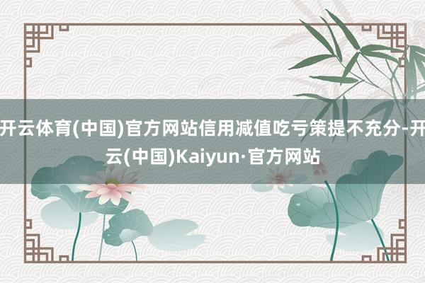 开云体育(中国)官方网站信用减值吃亏策提不充分-开云(中国)Kaiyun·官方网站