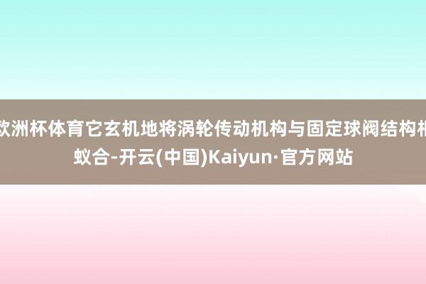 欧洲杯体育它玄机地将涡轮传动机构与固定球阀结构相蚁合-开云(中国)Kaiyun·官方网站