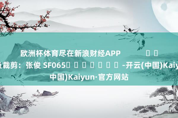 欧洲杯体育尽在新浪财经APP            						背负裁剪：张俊 SF065							-开云(中国)Kaiyun·官方网站
